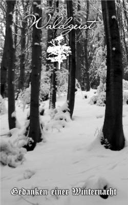 Waldgeist (GER) : Gedanken einer Winternacht